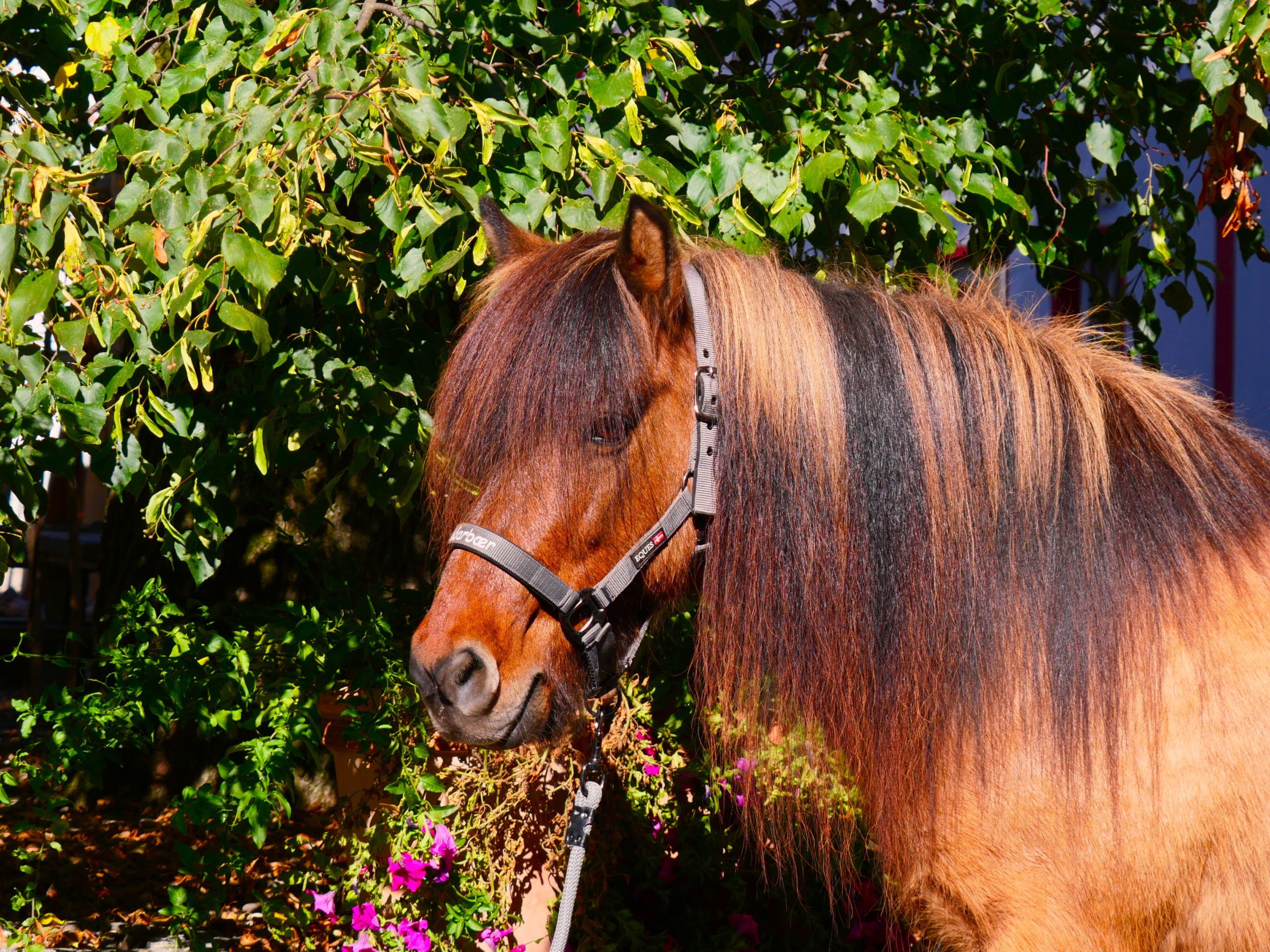 2. Sanna